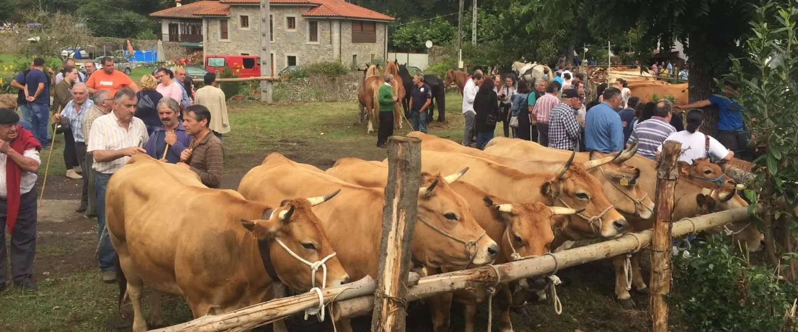 Fiesta de La Ponte en Puentevega