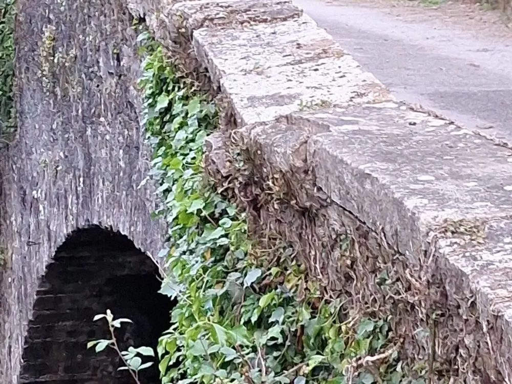 Molino junto al río